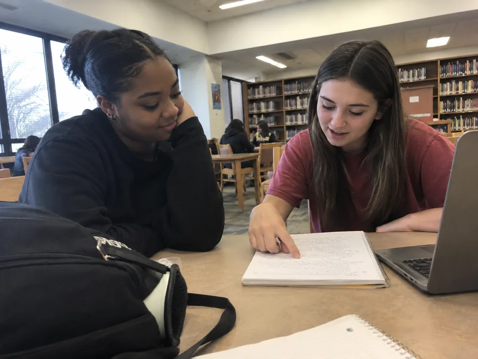 Two students working together in a school library
